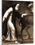 S. Maria di Collemaggio, L'Aquila, Abruzzo by Anonymous
