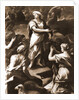 S. Maria di Collemaggio, L'Aquila, Abruzzo by Anonymous