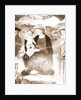 S. Maria di Collemaggio, L'Aquila, Abruzzo by Anonymous
