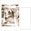 S. Maria di Collemaggio, L'Aquila, Abruzzo by Anonymous