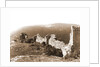 Castle, Bominaco, L'Aquila, Abruzzo by Anonymous