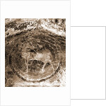 Oratory, S. Pellegrino, Bominaco, L'Aquila, Abruzzo by Anonymous