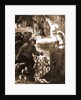 Museum, Celano, L'Aquila, Abruzzo by Anonymous