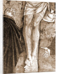 Museum, Celano, L'Aquila, Abruzzo by Anonymous
