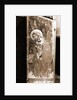 Museum, Celano, L'Aquila, Abruzzo by Anonymous