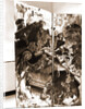 Museum, Celano, L'Aquila, Abruzzo by Anonymous