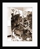 Museum, Celano, L'Aquila, Abruzzo by Anonymous