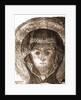 Museum, Celano, L'Aquila, Abruzzo by Anonymous