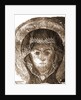 Museum, Celano, L'Aquila, Abruzzo by Anonymous