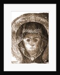 Museum, Celano, L'Aquila, Abruzzo by Anonymous