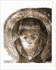Museum, Celano, L'Aquila, Abruzzo by Anonymous