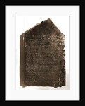 Museo Nazionale di Antichita, Chieti, Chieti, Abruzzo by Anonymous