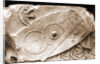 Museo Nazionale di Antichita, Chieti, Chieti, Abruzzo by Anonymous