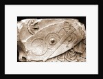 Museo Nazionale di Antichita, Chieti, Chieti, Abruzzo by Anonymous