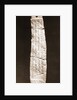 Museo Nazionale di Antichita, Chieti, Chieti, Abruzzo by Anonymous