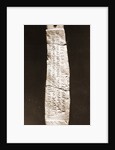Museo Nazionale di Antichita, Chieti, Chieti, Abruzzo by Anonymous