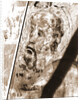 I, Collegiata di S. Michele, Citta Sant'Angelo, Pescara, Abruzzo by Anonymous