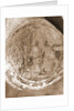 S. Antonio, Civitaretenga, Abruzzo by Anonymous