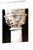 S. Antonio, Civitaretenga, Abruzzo by Anonymous