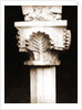 S. Antonio, Civitaretenga, Abruzzo by Anonymous