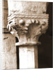 S. Antonio, Civitaretenga, Abruzzo by Anonymous