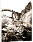 S. Egidio, Civitaretenga, Abruzzo by Anonymous