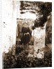 S. Egidio, Civitaretenga, Abruzzo by Anonymous