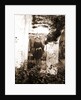 S. Egidio, Civitaretenga, Abruzzo by Anonymous