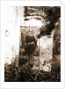 S. Egidio, Civitaretenga, Abruzzo by Anonymous