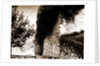 General Views, Corcumello, L'Aquila, Abruzzo by Anonymous