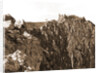 S. Maria delle Grotte, Fossa, L'Aquila, Abruzzo by Anonymous