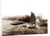 S. Paolo Peltuinum, Prata d'Ansidonia, L'Aquila, Abruzzo by Anonymous
