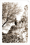 S. Paolo Peltuinum, Prata d'Ansidonia, L'Aquila, Abruzzo by Anonymous