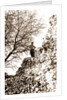 S. Paolo Peltuinum, Prata d'Ansidonia, L'Aquila, Abruzzo by Anonymous
