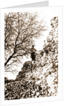 S. Paolo Peltuinum, Prata d'Ansidonia, L'Aquila, Abruzzo by Anonymous