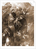 S. Nicola, Prata d'Ansidonia, L'Aquila, Abruzzo by Anonymous