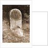 General views, Preturo, L'Aquila, Abruzzo by Anonymous