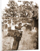 General views, Preturo, L'Aquila, Abruzzo by Anonymous