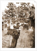 General views, Preturo, L'Aquila, Abruzzo by Anonymous