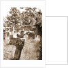 General views, Preturo, L'Aquila, Abruzzo by Anonymous