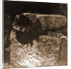 General views, Preturo, L'Aquila, Abruzzo by Anonymous