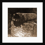 General views, Preturo, L'Aquila, Abruzzo by Anonymous