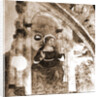 S. Maria del Pianto, Rocca di Botte, Aquila, Abruzzo by Anonymous