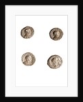 Museo, S. Giuliano, L'Aquila, Abruzzo by Anonymous