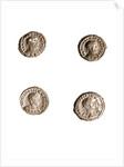 Museo, S. Giuliano, L'Aquila, Abruzzo by Anonymous