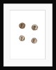 Museo, S. Giuliano, L'Aquila, Abruzzo by Anonymous
