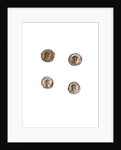Museo, S. Giuliano, L'Aquila, Abruzzo by Anonymous