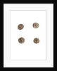 Museo, S. Giuliano, L'Aquila, Abruzzo by Anonymous