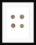 Museo, S. Giuliano, L'Aquila, Abruzzo by Anonymous