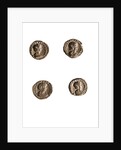 Museo, S. Giuliano, L'Aquila, Abruzzo by Anonymous